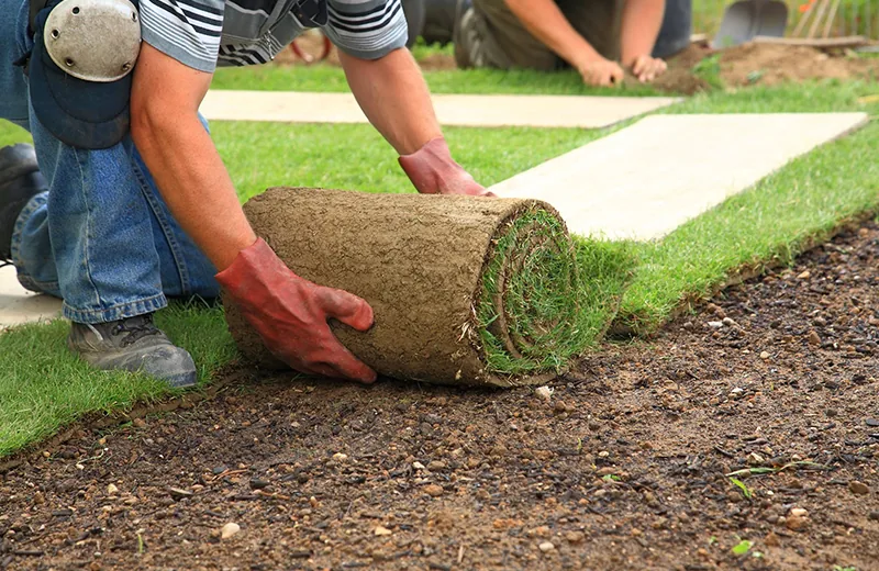A newly installed estate landscape